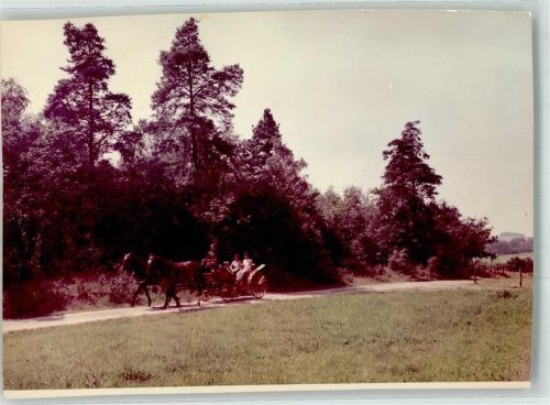 Wiehl Pferdekutsche Foto Original aus Archiv eines Ansichtskartenverlages Ort handschriftlich