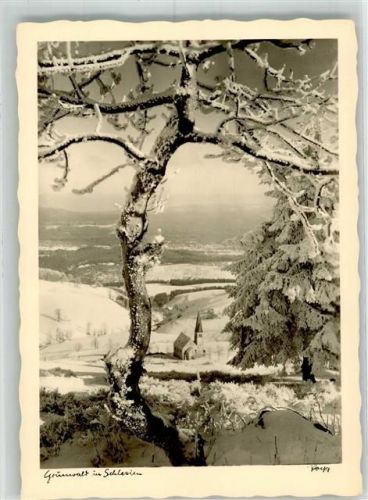 Grunwald Kirche Winter