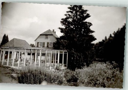Rinteln Gasthaus Hotel Elfenborn Blumenparadies Wintergarten Foto Original aus Archiv eines Ansichtskartenverlages Ort handschriftlich