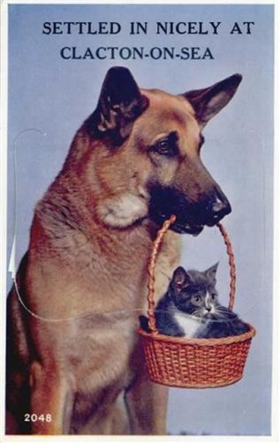 Clacton-on-Sea Clacton-on-Sea (Großbritannien) Leporello, Hund, Katze I-II