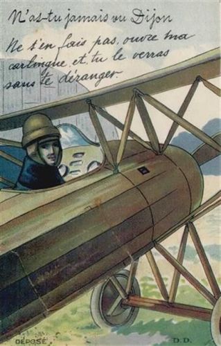 21000 Dijon - Dijon (Frankreich) Leporello II (kleine Einrisse, Stauchung)