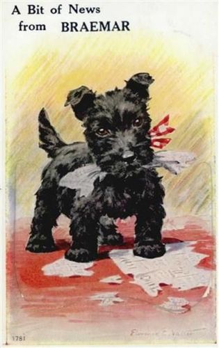 Braemar Braemar (Großbritannien) Leporello Hund, signiert I-II (Stauchung)