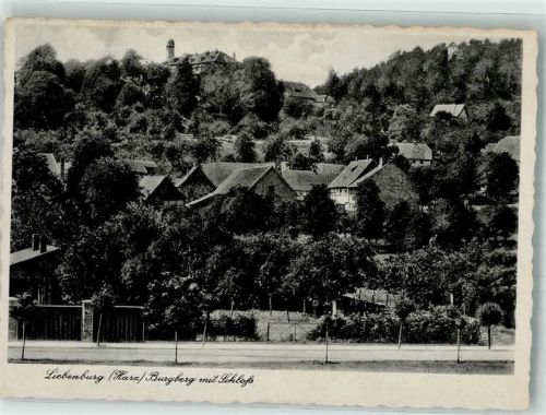 Liebenburg Schloss