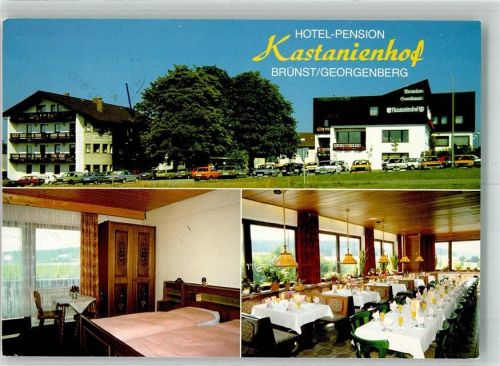 Brünst 1994 Hotel Pension Kanstanienhof Auto