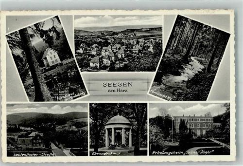 Seesen Lautenthaler Straße Forellenstieg Erholungsheim Grüner Jäger Forsthaus Neckelnberg Kriegerdenkmal Verlag Thoericht Nr. 16927
