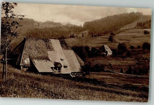 Schonach Schwarzwaldhäuser