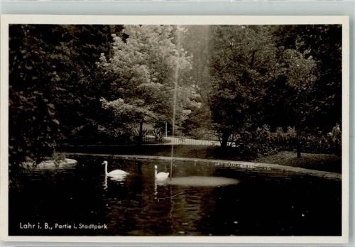 Lahr 1934 Stadtpark Schwäne