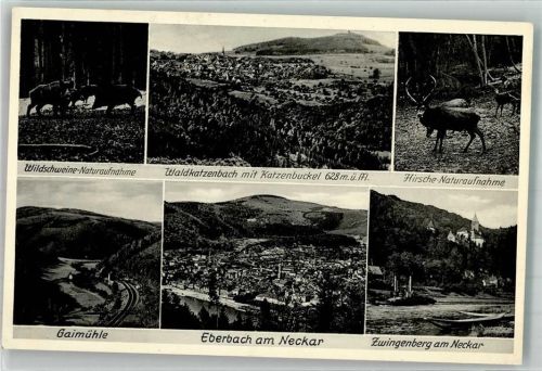 Waldkatzenbach Panorama des Ortes Gaimühle Eberbach Zwingenberg Wildschweine Hirsche Verlag Gerling Nr. 2621