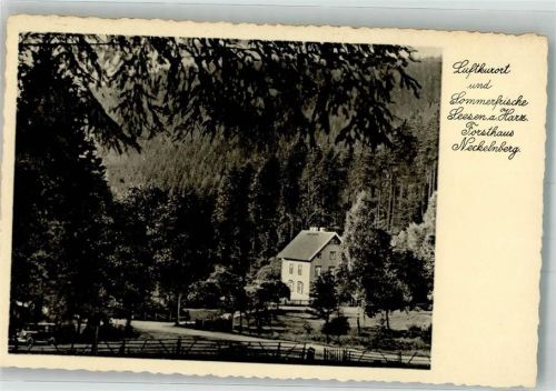 Seesen Forsthau Necklenberg Oldtimer