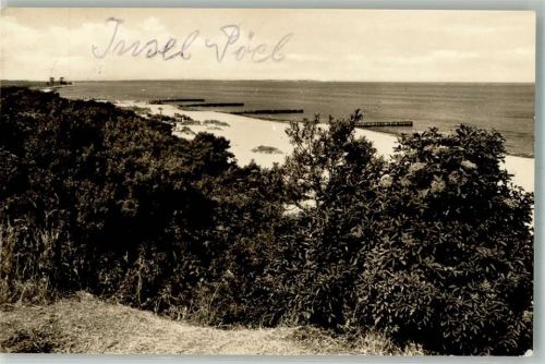 Insel Poel Schwarzer Busch