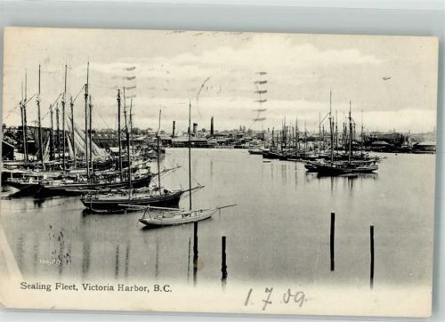 Victoria Foto AK Hafen