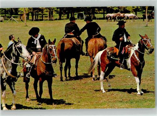 1975 Tracht Criollo Pferd