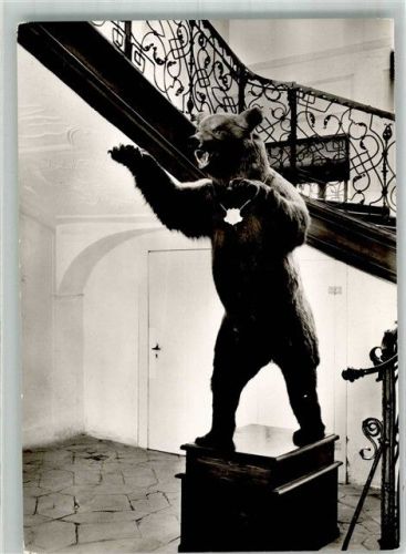 Schillingsfürst Großer Bär im Treppenhaus von Schloss Schillingsfürst