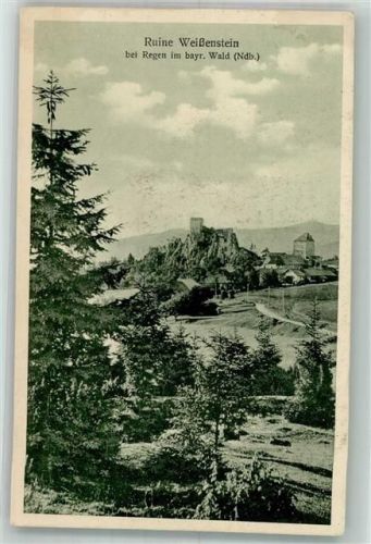 Regen 1922 Ruine Weißenstein