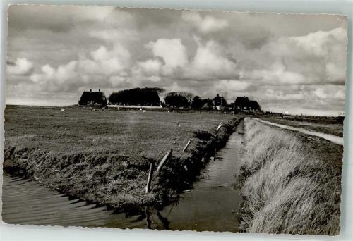Hooge Eine Warft auf der Hallig