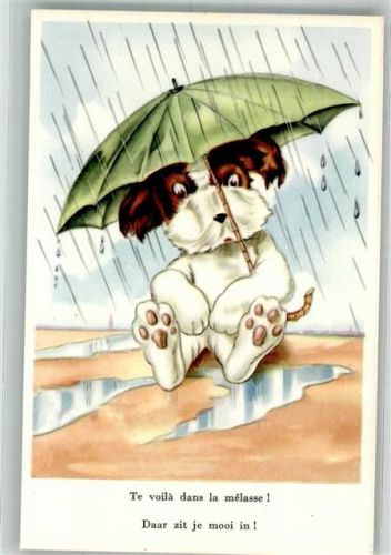 Kleiner Hund findet Zuflucht unter dem Regenschirm Humor