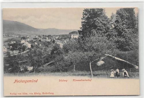 Neckargemünd Neckargemünd. Kümmelbacherhof ungelaufen um 1900 Gute Erhaltung.