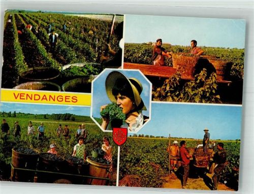 Saint-Vallier 1984 Wein Lese Ort lt. Stempel