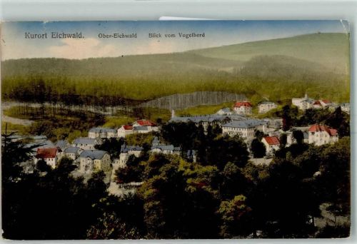 Altenberg 1917 Blick vom Vogelherd Eichwald