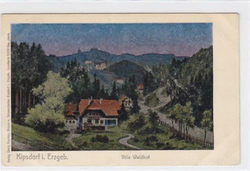 Lunakarte von Kipsdorf im Erzgebirge. Villa Waldhof. Ungelaufen kleiner Knick unten rechts. Abdrücke vom Album an den Ecke n, sonst gut erhalten.