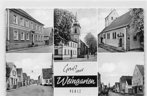 Weingarten mit Straßenpartien und Kirche gelaufen kleiner Knick unten links, sonst gut erhalten