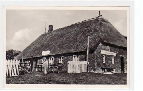 Hallig Hooge mit Peter Tiemanns " Blauer Pesel " ungelaufen kleiner Knick unten rechts, sonst gut erhalten