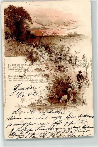 1902 Sonnenschein Serie XXIV Schäfer und Gedicht von Martin Blum AK