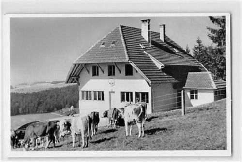 Naturfreundehaus Hotzenwald bei Altenschwand - Strick, Kreis Säckingen ungelaufen Gute Erhaltung.