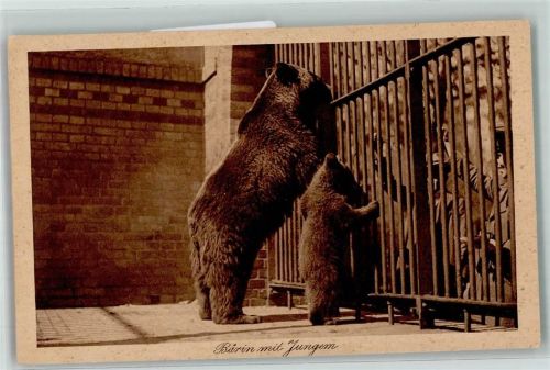 W1000 Berlin Mitte Bärin mit Jugem Zoo AK Bär 1928
