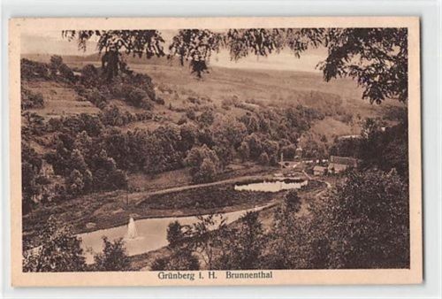 Grünberg in Hessen. Brunnenthal gelaufen. Gute Erhaltung.