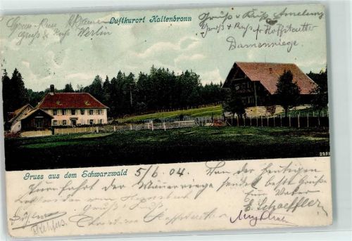 Kaltenbronn 1904 Schwarzwald Moorsee