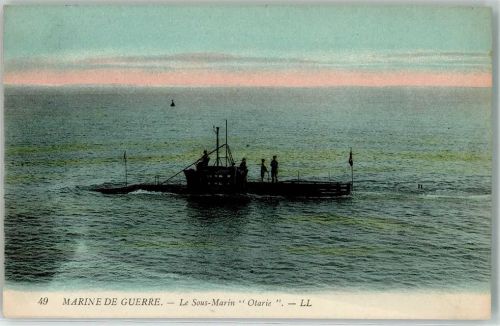 Otarie