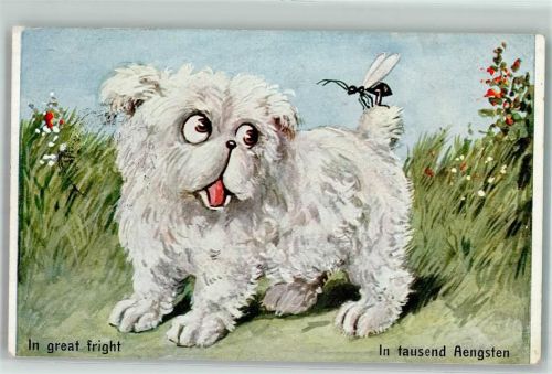 Tausend Ängste für den Hund AK Biene 1914 Gebrauchsspuren