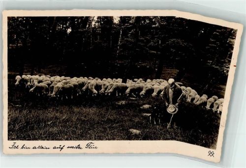 1936 Schafhirte mit Hund AK