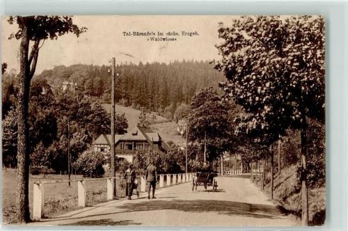 01773 O8242 Bärenfels - Tal-Bärenfels Waldwiese