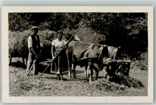 Heuernte Landwirtschaft AK