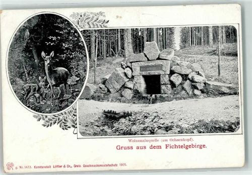 95632 W8592 Wunsiedel - Weissmainquelle am Ochsenkopf Reh Kitz