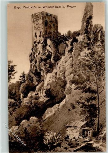 Regen Wald Ruine Weissenstein