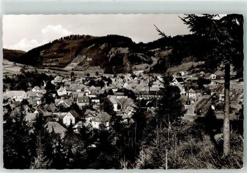 Steinwiesen