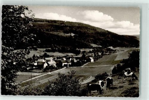 34593 W3589 Reddingshausen - Kühe