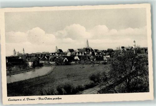 Lauingen von Osten gesehen