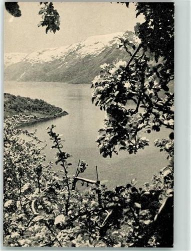 Hardangerfjord Ullensvang