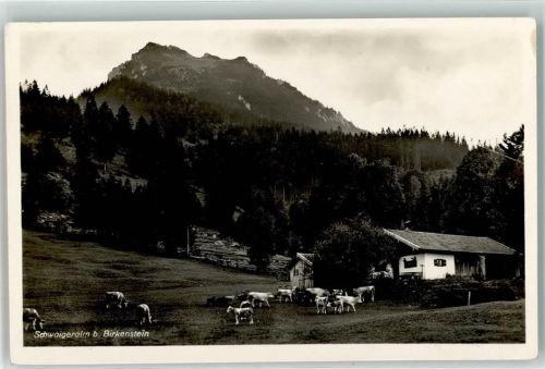83730 W8165 Birkenstein - Schwaigeralm Rindvieh