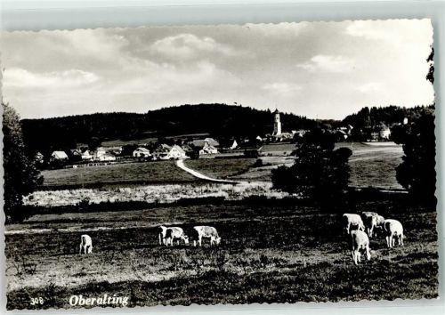 Oberalting Rinderweide