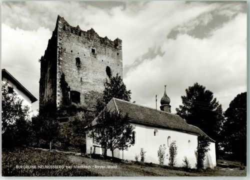 Viechtach Burgruine Neunußberg