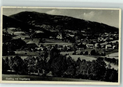 94539 W8351 Grafling , Niederbay - mit Vogelsang