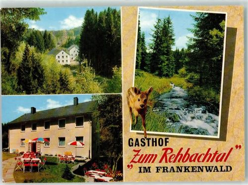 Grafengehaig Gasthaus Zum Rehbachtal Reh