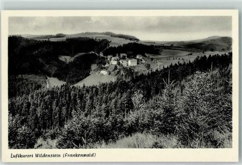 Wildenstein