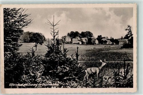 Ullersdorf Reh Rehkitz