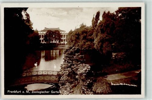 Frankfurt Zoologischer Garten Schwan